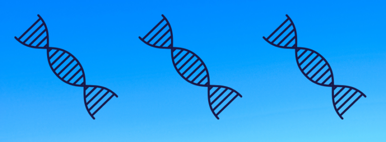 DNA: The Biological Compass